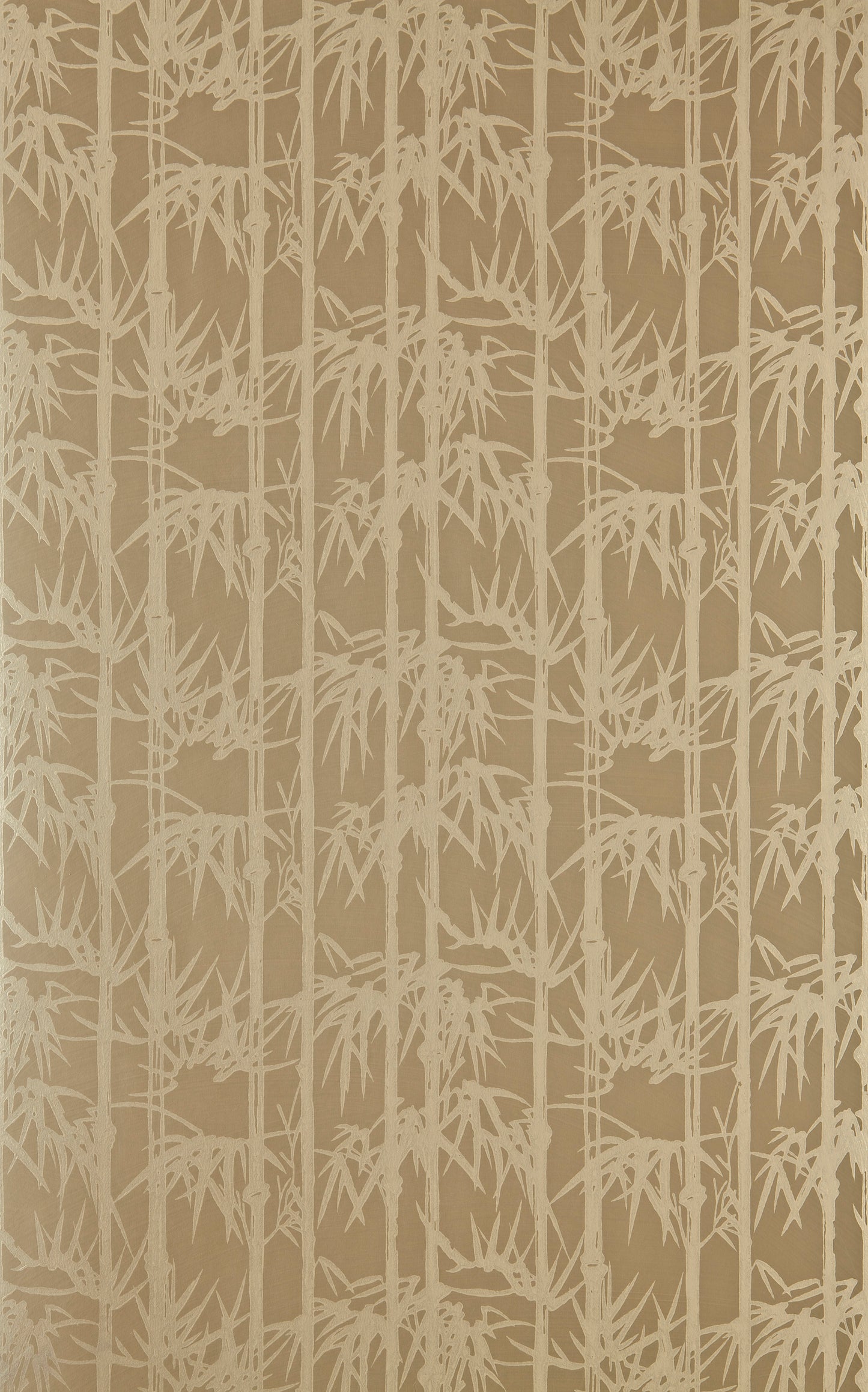 Bamboo