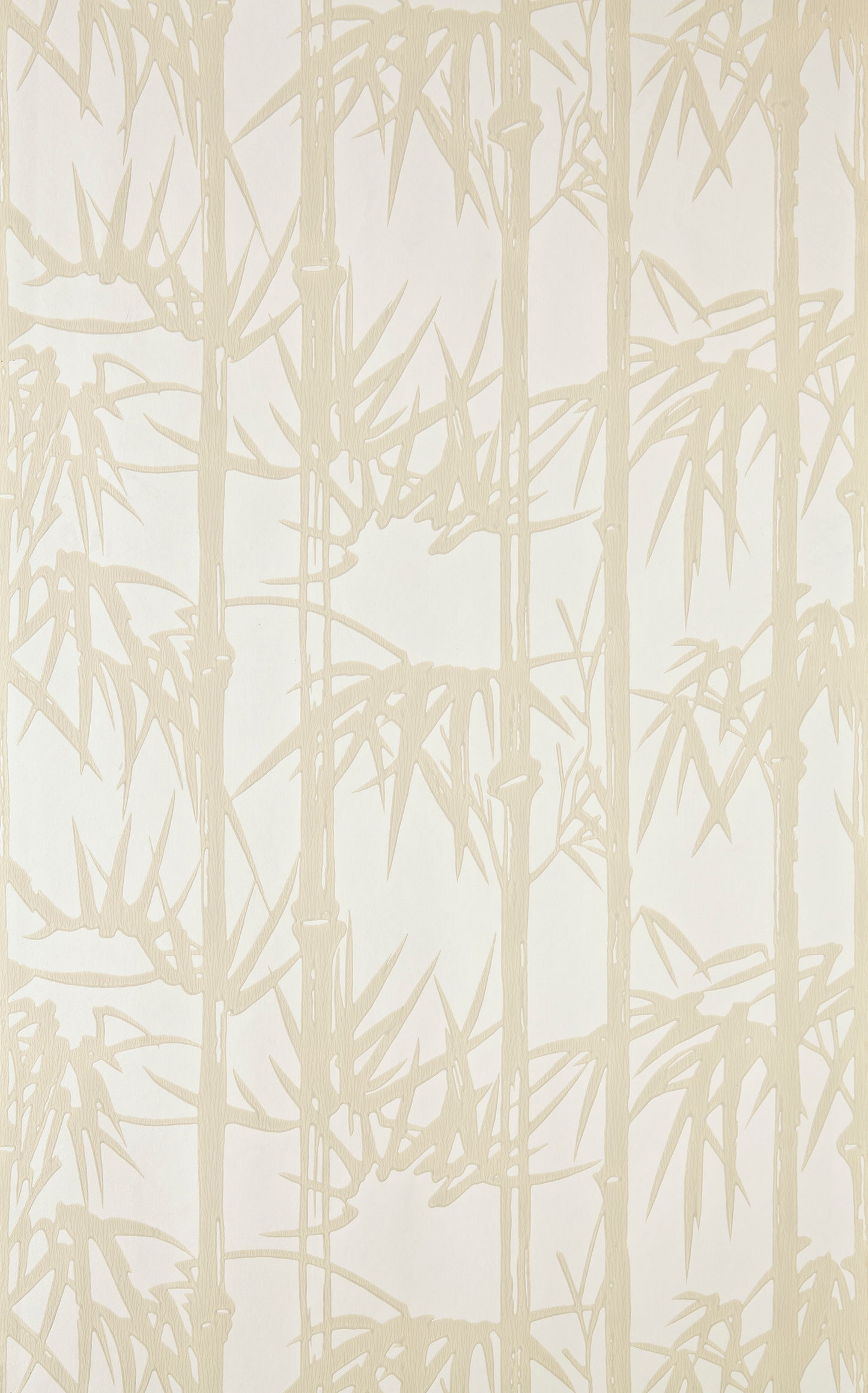 Bamboo