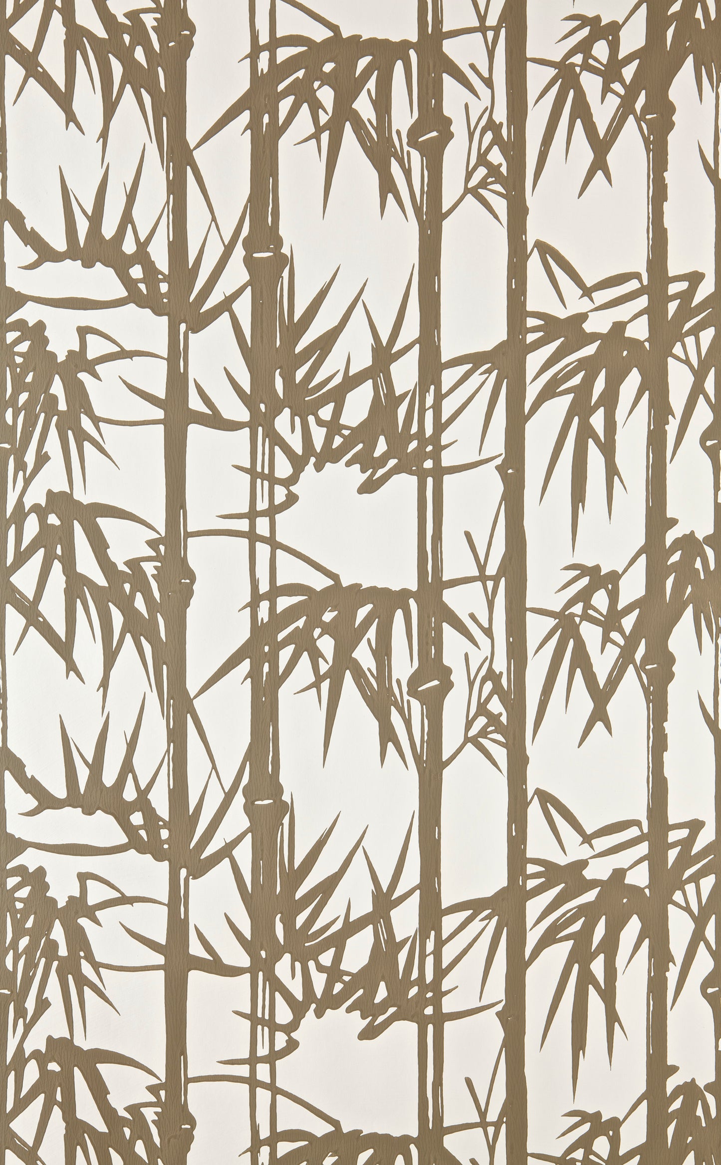 Bamboo